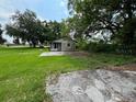 Expansive backyard with a concrete slab, partially obscured by overgrown grass and mature trees at 408 S Orange Ave, Fort Meade, FL 33841