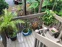 View of a porch of a home filled with lush plants and flowers in decorative pots at 5310 Pebble Beach Dr # F, Orlando, FL 32811