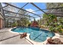 Inviting screened-in pool with a rock waterfall feature and lush tropical landscaping for relaxation at 10421 Mesa Ln, Clermont, FL 34711