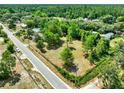 Aerial view of the property showcasing a large lot, mature trees, and neighborhood at 28712 Azalea Ave, Paisley, FL 32767