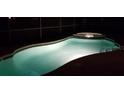 Beautifully lit backyard pool at night, creating a serene and inviting ambiance at 189 Minniehaha Cir, Haines City, FL 33844