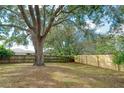 Spacious backyard featuring a wooden fence, mature trees, and well-maintained lawn at 4462 Iris S St, Lakeland, FL 33813