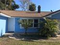 The home's entrance, featuring vibrant blue walls, a white door, and tropical landscaping at 1257 Dal Maso Dr, Daytona Beach, FL 32117
