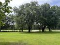 Expansive lawn with mature trees and a peaceful, rural setting at 2777 Cr 673, Bushnell, FL 33513
