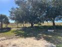 Large backyard with mature trees providing shade and a custom fire pit offering a private outdoor experience at 103 Thornbush Pkwy, Davenport, FL 33837