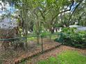 Secluded backyard with chain link fence and lush greenery offering a private outdoor space at 909 Heatherbrook Dr, Auburndale, FL 33823