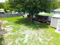 Spacious backyard with lush green lawn, mature shade tree, sheds and a chicken coop at 1841 Talmadge St, Deland, FL 32724