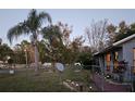 Well-maintained lawn with palm tree and pathway lighting at 24008 Ermine Rd, Astor, FL 32102