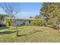 Ranch home with a spacious front yard, lush landscaping, and a tree at 4430 Doris Dr, New Smyrna Beach, FL 32169