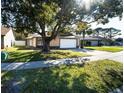House with a large tree in front, and driveway at 1413 La Paloma Cir, Winter Springs, FL 32708