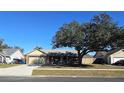 House exterior featuring a large tree and a driveway at 1387 Hensley Dr, Deland, FL 32724