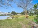 Landscaped backyard with pond and walkway at 347 Castlewood Ln, New Smyrna Beach, FL 32168