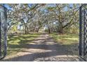 Long brick driveway leading to a stately home, framed by mature trees with Spanish moss draping from the branches at 2111 Hontoon Rd, Deland, FL 32720