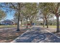 Long driveway lined with mature trees leading to a beautiful gray home at 5306 Empire Church Rd, Groveland, FL 34736