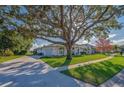 A sprawling home beneath a majestic, mature tree with vibrant green lawn and welcoming curb appeal at 6071 Sabal Hammock Cir, Port Orange, FL 32128