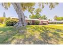 Beautiful brick home with a well-maintained lawn and mature shade trees at 953 Pineapple Rd, South Daytona, FL 32119