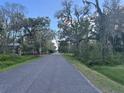 A tree lined street is paved and surrounded by mature trees and vegetation at 7108 East Rd, Lakeland, FL 33809