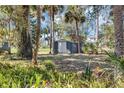 Outdoor storage shed in wooded backyard with ferns and palm trees at 4282 Alice St, Edgewater, FL 32141