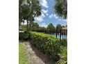 Pool area surrounded by palm trees and lush greenery at 1812 Leather Fern Dr, Ocoee, FL 34761