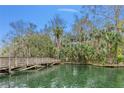 Scenic river view from the shore features palm trees and a wooden bridge at 26 E Kelly Park Rd, Apopka, FL 32712