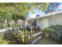Front yard with mature landscaping, small walkway, and accents that create a welcoming entrance at 3228 Unity Tree Dr, Edgewater, FL 32141