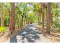 Long, paved driveway surrounded by lush greenery, creating a secluded atmosphere at 2646 Turnbull Bay Rd, New Smyrna Beach, FL 32168