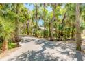 Long driveway winding through lush trees, creating a secluded and serene entrance to the property at 2646 Turnbull Bay Rd, New Smyrna Beach, FL 32168