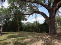 A large shade tree graces this home's spacious backyard at 1151 Deltona Blvd, Deltona, FL 32725