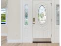 Elegant white front door with decorative glass panels, offering a welcoming entrance and plenty of natural light at 4745 Dixie Dr, Ponce Inlet, FL 32127