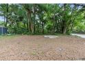 Spacious backyard surrounded by lush greenery and mature trees at 211 S Delaware Ave, Deland, FL 32720