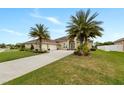 Charming single-story home featuring a long driveway and lush landscaping with palm trees at 3470 Tesoro Cir, New Smyrna Beach, FL 32168