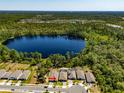 Overhead view of a neighborhood near a beautiful lake, highlighting community amenities and home positioning at 6006 Mount Zion Cir, Deland, FL 32724