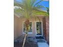 Close-up of the front door entrance, framed by a palm tree and featuring a modern glass door at 670 W Tall Pine Ter, Deland, FL 32724