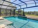 Inviting screened-in pool with tile accents and a serene view of the natural landscape at 685 Enterprise Osteen Rd, Osteen, FL 32764