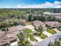 A neighborhood aerial view of the homes, showcasing the mature trees and landscaping at 16 Big Buck Trl, Ormond Beach, FL 32174