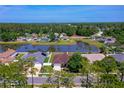 Aerial view of a serene residential neighborhood with mature trees and a scenic pond at 5463 Carmody Lake Dr, Port Orange, FL 32128