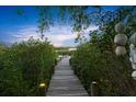 Scenic wooden dock with lush greenery, offering serene waterfront access and a tranquil ambiance at 6317 Palmas Bay Cir, Port Orange, FL 32127