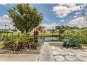 Landscaped backyard with patio space, offering a tranquil view of the canal and waterfront scenery at 119 Jana Cir, Auburndale, FL 33823