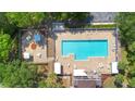 Aerial view of the community pool with ample lounge chairs and surrounding green space at 133 Brasswood Ct, Daytona Beach, FL 32117