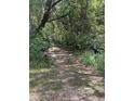 Gravel driveway between signs marked private property and overgrown shrubbery at 288 Mcmillon Dr, Orange City, FL 32763