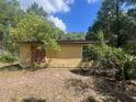 Exterior of home featuring boarded window and overgrown landscape at 288 Mcmillon Dr, Orange City, FL 32763