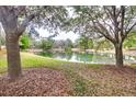Scenic pond view framed by mature trees, with lush greenery and foliage surrounding the water at 1018 Heron Point Cir, Deland, FL 32724