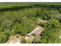 Expansive aerial view of a property surrounded by a dense forest landscape at 29505 North, Paisley, FL 32767