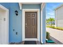 View of front door with sidelights, brown paint, white trim, and exterior lighting at 3049 Meleto Blvd, New Smyrna Beach, FL 32168
