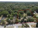 An aerial view outlining property lines, showcasing wooded acreage with the home visible in the corner at 1880 N Sparkman Ave, Orange City, FL 32763