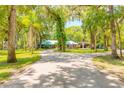 Scenic driveway approaching a brick house with a turquoise roof, amidst lush trees at 712 S Timberlane Dr, New Smyrna Beach, FL 32168