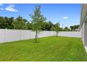 Spacious, well-maintained backyard with lush green grass and a clean, white fence for privacy at 1002 River Falls Cir, Deland, FL 32720