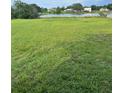 Large grassy backyard with a scenic pond view, offering a serene and private outdoor space at 2689 Courtland Blvd, Deltona, FL 32738