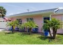 Close-up view of the pink house exterior with palm trees and blue front door and chairs creating a tropical vibe at 179 Ann Rustin S Dr, Ormond Beach, FL 32176
