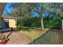 View of the backyard featuring a partially shaded lawn, and privacy landscaping at 727 Grape Ivy Ln, New Smyrna Beach, FL 32168